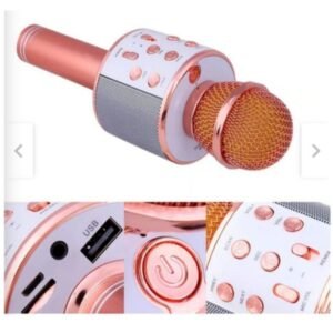 Microfono Karaoke - Multi-Voice Microphone